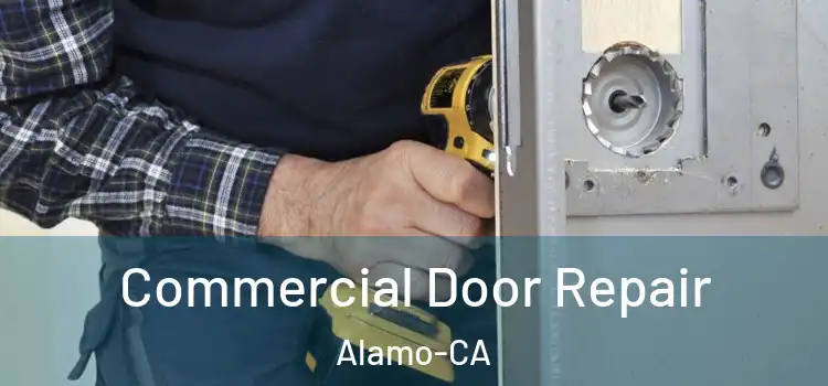  Commercial Door Repair Alamo-CA