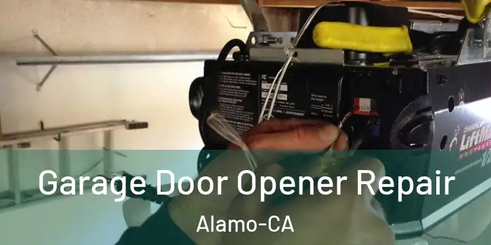  Garage Door Opener Repair Alamo-CA