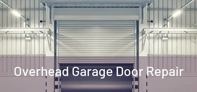  Overhead Garage Door Repair 