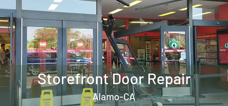 Storefront Door Repair Alamo-CA